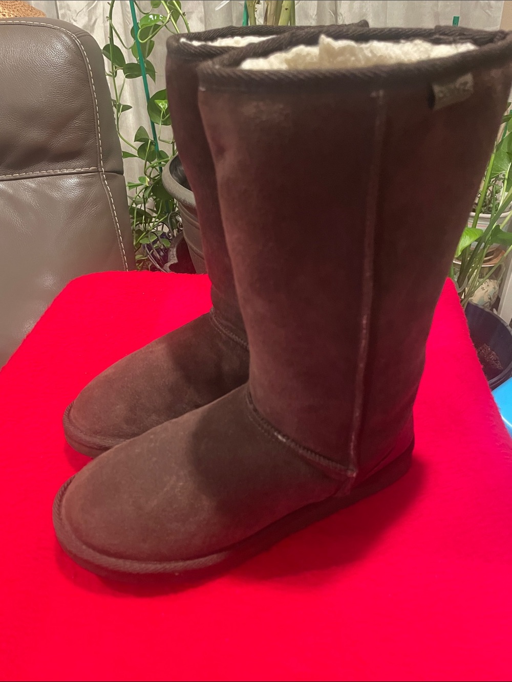 PAWZ Tall Shearling-Lined Winter Boots - Brown